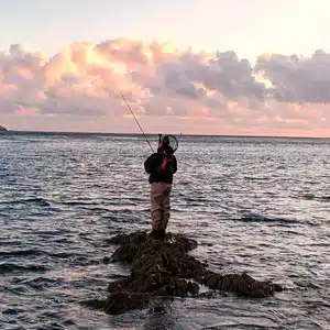 TD® Canne à pêche en mer 1.8m ensemble complet canne à pêche mer